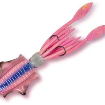 100g 20cm pinky rhino squid kép