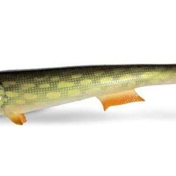 22cm real pike quantum tarp shad kép