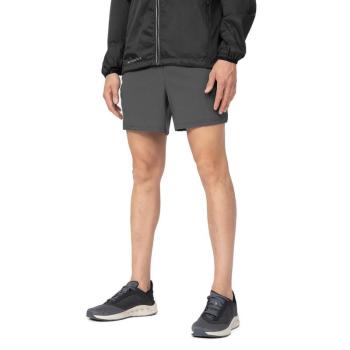 4F-SHORTS FNK M155-23S-DARK GREY Szürke L kép