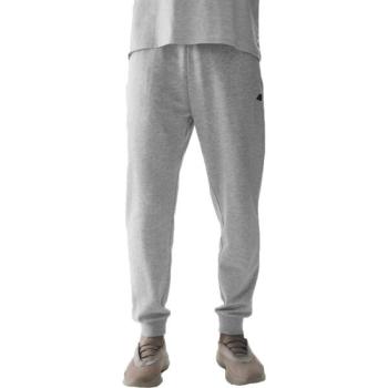 4F TROUSERS BASIC Férfi melegítőnadrág, szürke, méret kép