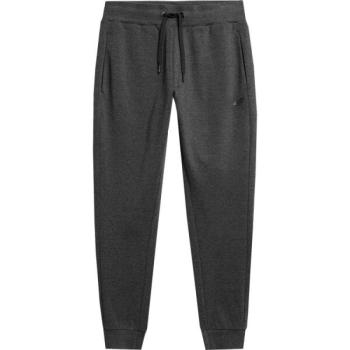 4F TROUSERS Férfi melegítőnadrág, sötétszürke, méret kép