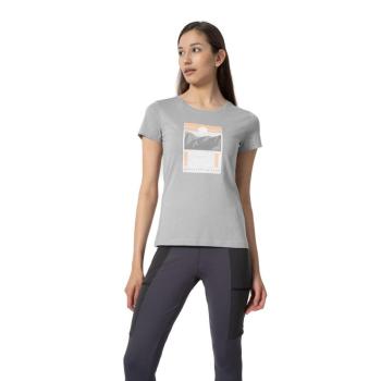 4F-TSHIRT F274-27S-COLD LIGHT GREY Szürke L kép