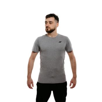 4F-TSHIRT FNK M260-27M-COLD LIGHT GREY MELANGE Szürke L kép