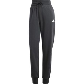 adidas BLUV PANTS Női melegítőnadrág, fekete, méret kép