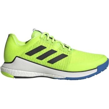 adidas CRAZYFLIGHT M Férfi teremcipő, világoszöld, méret 42 2/3 kép