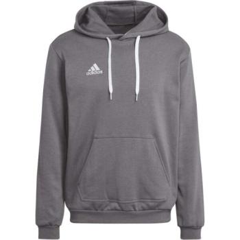 adidas ENT22 HOODY Férfi pulóver focira, szürke, méret kép