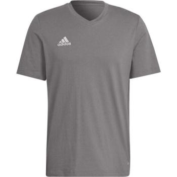 adidas ENT22 TEE Férfi póló, szürke, méret kép