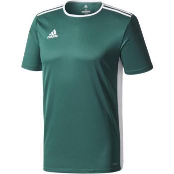 adidas ENTRADA 18 JSY Férfi futball mez, sötétzöld, méret kép