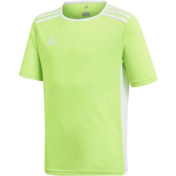 adidas ENTRADA 18 JSYY Fiú futball mez, világoszöld, méret kép