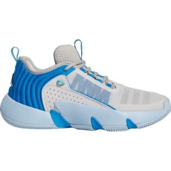 adidas TRAE UNLIMITED Férfi kosárlabda cipő, szürke, méret 41 1/3 kép