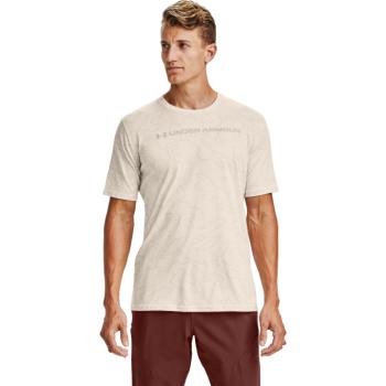 All Over Wordmark Brown póló - Under Armour kép