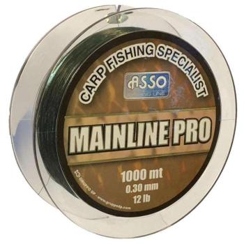 Ampg28 asso carp mainline pro monofil zsinór 1000m 0,28 s.zöld kép