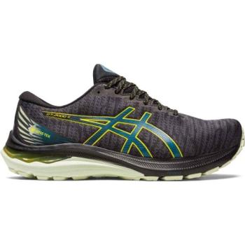 ASICS GT-2000 11 GTX Férfi futócipő, fekete, méret 46 kép