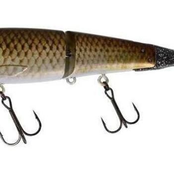 Blast bone 19cm sf rt carp kép