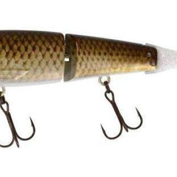 Blast bone jr 15cm sf rt carp kép