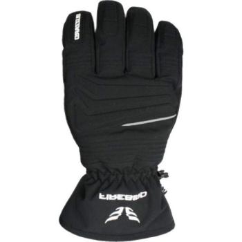 Blizzard FIREBIRD SKI GLOVES Kesztyű, fekete, méret kép