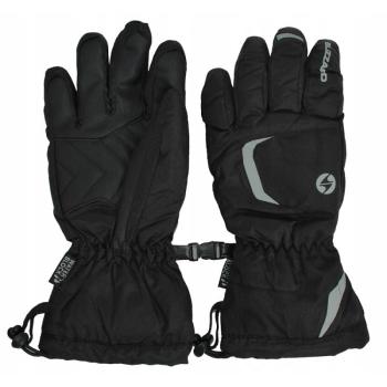 BLIZZARD-Reflex junior ski gloves, black/silver Fekete 5 kép