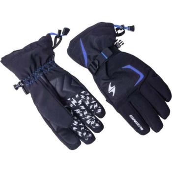 Blizzard REFLEX SKI GLOVES Síkesztyű, fekete, méret kép