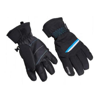 BLIZZARD-Viva Plose ski gloves, black/white/turquoise 20 Fekete 6 kép