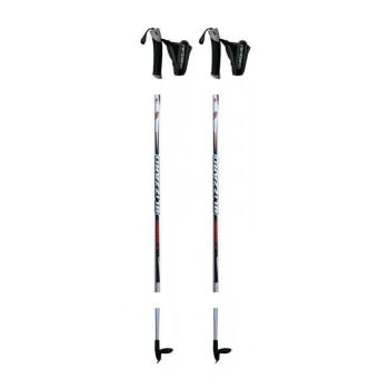 BLIZZARD-XC Performance senior cross-country poles, silver Szürke 120 cm 20/21 kép