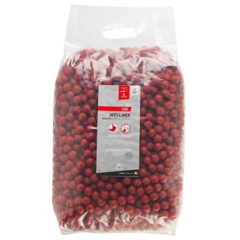 Bojli pontyhorgászathoz Wellmix, eper, 20 mm, 10 kg Caperlan kép