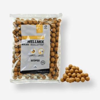 Bojli, scopex , 14 mm, 1 kg - Wellmix Caperlan kép