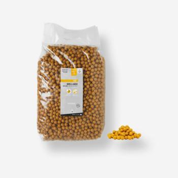 Bojli, scopex, 14 mm, 10 kg - Wellmix Caperlan kép