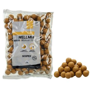 Bojli, scopex, 20 mm, 1 kg - Wellmix Caperlan kép