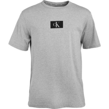 Calvin Klein ´96 GRAPHIC TEES-S/S CREW NECK Férfi póló, szürke, méret kép