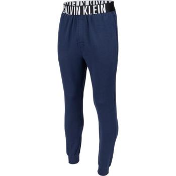 Calvin Klein JOGGER WIN Férfi melegítőnadrág, sötétkék, méret kép