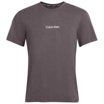 Calvin Klein S/S CREW NECK Férfi póló, sötétszürke, méret kép