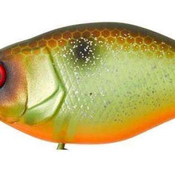 Chubby 3,8cm mr muddy roach kép