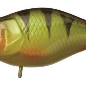 Chubby 3,8cm perch kép