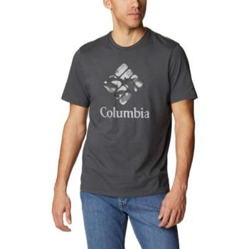 Columbia M RAPID RIDGE GRAPHIC TEE Férfi póló, sötétszürke, méret kép