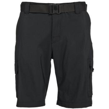 Columbia SILVER RIDGE UTILITY CARGO SHORT Férfi rövidnadrág, fekete, méret kép