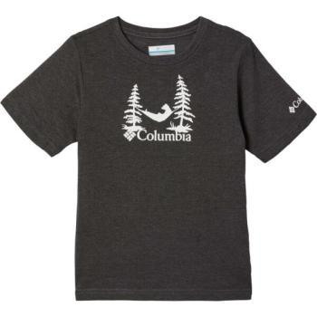 Columbia VALLEY CREED SHORT SLEEVE GRAPHIC SHIRT Gyerek póló, fekete, méret kép