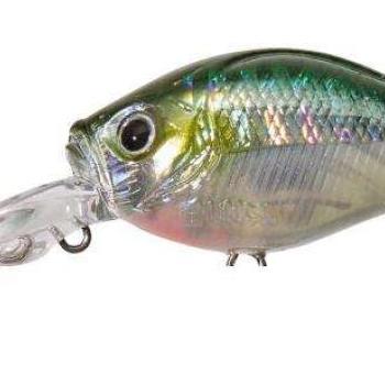 D-gigan 4,6cm f hl minnow kép