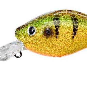 D-gigan 4,6cm f strass perch kép