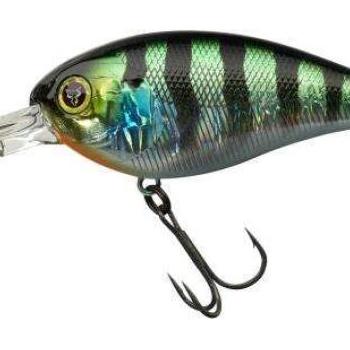 Digle 3+ 6,6cm hl sunfish kép