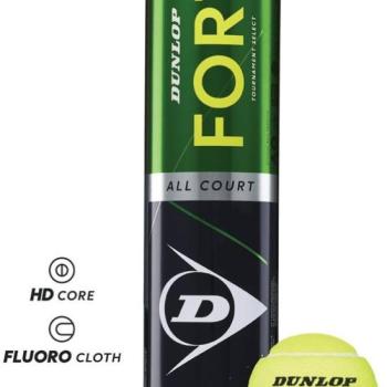 Dunlop Fort all court TS kép