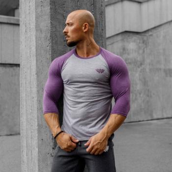 Férfi 3/4 ujjú póló Iron Aesthetics Raglan, aubergine szürke kép