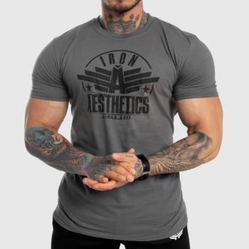 Férfi fitness póló Iron Aesthetics Force, szürke kép