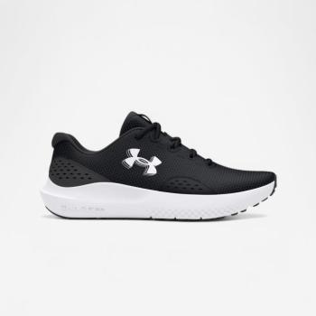 Férfi fitneszcipő - Charged Surge 4 Under Armour kép