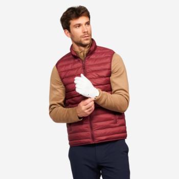 Férfi golf mellény, toll - MW500 Inesis kép