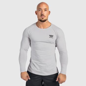 Férfi hosszú ujjú póló Iron Aesthetics Longsleeve, szürke kép