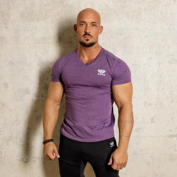 Férfi póló Iron Aesthetics V-neck, aubergine kép