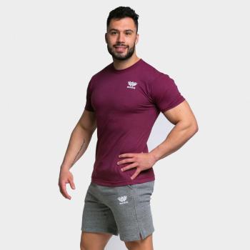 Férfi sportpóló Iron Aesthetics Tri-Blend, bordó kép