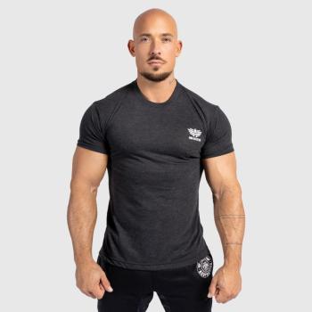 Férfi sportpóló Iron Aesthetics Tri-Blend, fekete kép