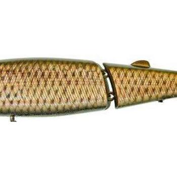 Freddy 17cm cw noisy carp kép