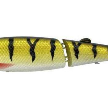 Freddy 17cm cw perch kép